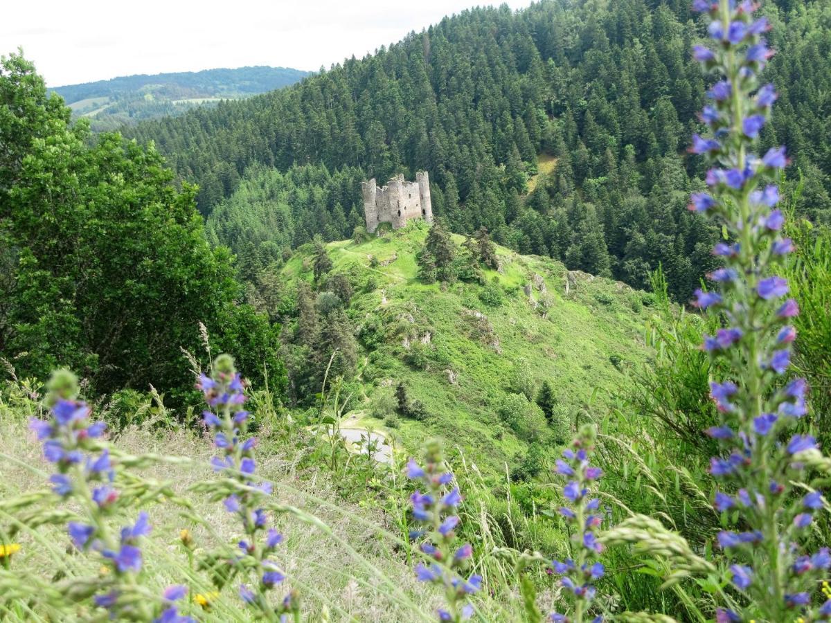 Hotel Des Rochers Marvejols Zewnętrze zdjęcie